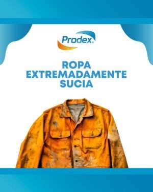 APLICACION DE LOS DETERGENTES ALCALINOS_6
