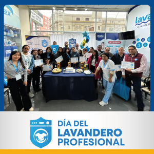 día del lavandero profesional