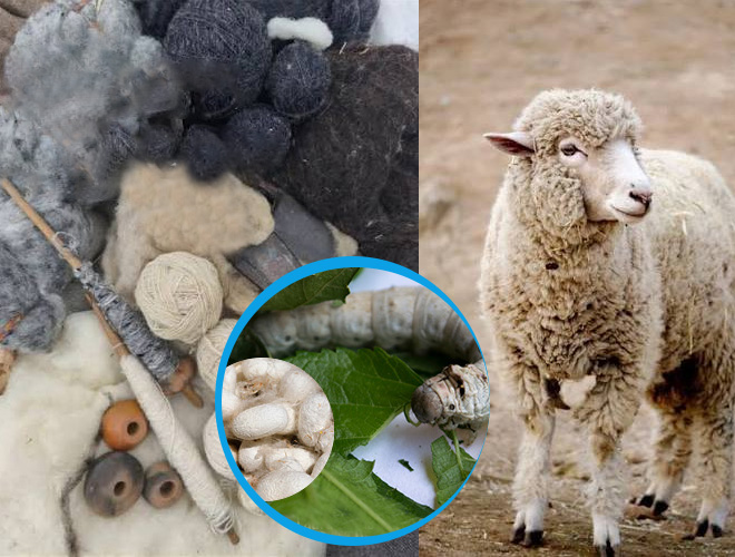 prenda origen animal